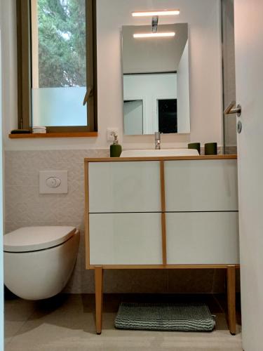 une salle de bain avec un lavabo, des toilettes et un miroir dans l'établissement La villa des vignes, à Castillon-du-Gard