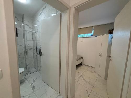 Apartmaji Čeponにあるバスルーム
