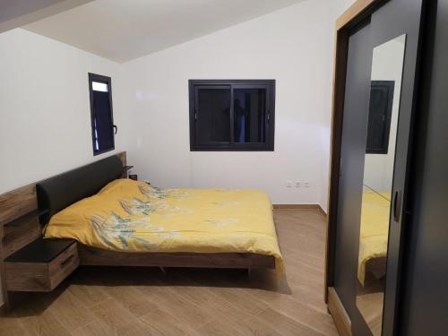 ein Schlafzimmer mit einem Bett und einem Spiegel in der Unterkunft La maison du bonheur in Le Lambert