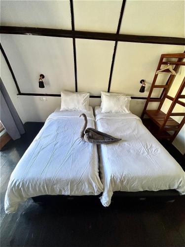 a bird sitting on two beds in a room at Damai Bungalows in Maluk