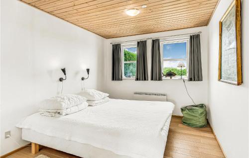 a bedroom with a white bed and two windows at Gorgeous Home In Sydals With Wifi in Østerby
