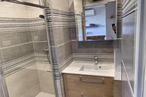 une salle de bain avec douche et lavabo dans l'établissement Entre Banyuls et Collioure T2 à Port vendres, à Port-Vendres