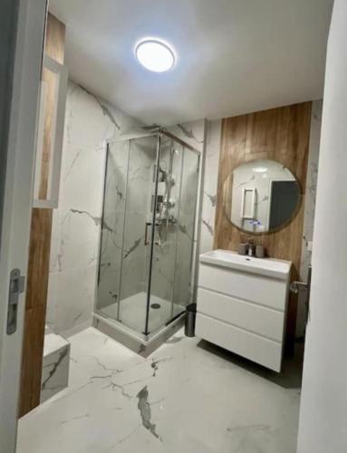une salle de bain avec une douche, un lavabo et un miroir dans l'établissement Appartement proche Paris, Disney, Cité Descartes, Centrex, à Champs-sur-Marne