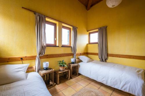 two beds in a room with yellow walls and windows at La Maison de l'écolieu du Turc - Piscine partagée in Le Mas-dʼAgenais
