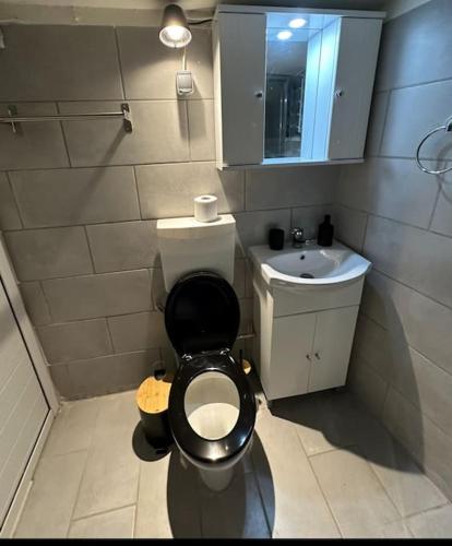 a small bathroom with a toilet and a sink at Argalios apartment in Serifos Chora