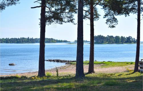 a group of trees on the shore of a lake at Awesome Home In Timmernabben With Wifi in Timmernabben