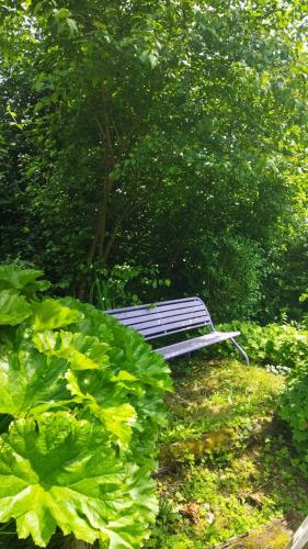 a bench sitting in the middle of a garden at Appartement in Lalaye