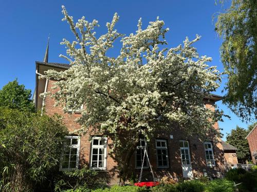 a flowering tree in front of a brick building at Altes Pastorat in Barmstedt