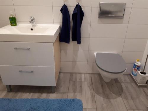 ein Badezimmer mit Waschbecken und Toilette in der Unterkunft Große, komfortable Ferienwohnung mit Terrasse und Garten im Grünen und viel Platz für Ihr Haustier in Rathenow
