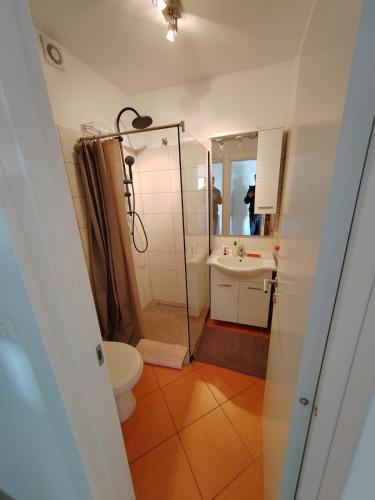 a bathroom with a toilet and a sink and a mirror at Apartment Lighthouse n3 in Fažana