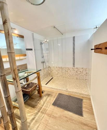 La salle de bains est pourvue d'une douche et d'une table en verre. dans l'établissement Villa Giulianna le Teich bassin d Arcachon, au Teich