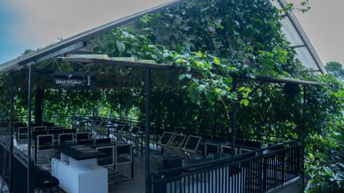 a pergola covered in ivy with tables and chairs at Leuweung Geledegan Ecoldge in Kiarapayung 2