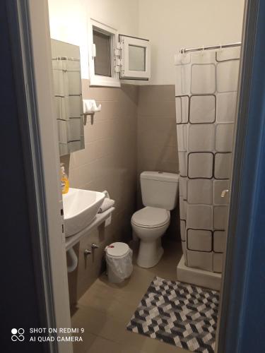 a small bathroom with a toilet and a sink at Anestis Studios in Agios Georgios
