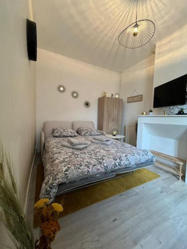 une chambre avec un grand lit dans une pièce dans l'établissement Gîte Le Nid Douillet 18m2 2 personnes, à Douai