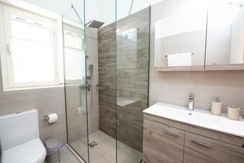 a bathroom with a shower and a toilet and a sink at Lagadia Stone House in Agios Nikitas
