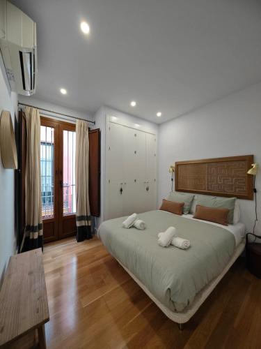 Luxury apartment Seville Center