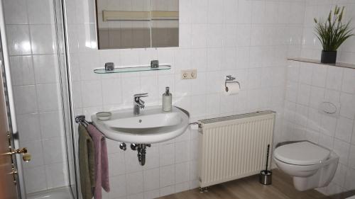 Bilik mandi di Ferienwohnung an den Weingärten