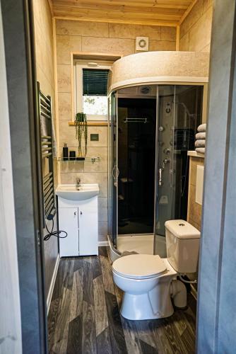 ein kleines Badezimmer mit Toilette und Waschbecken in der Unterkunft Five Pine Resort in Darbėnai