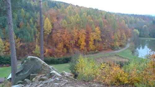 a view of a hill with trees and a lake at Les Park Vřesovice in Vřesovice