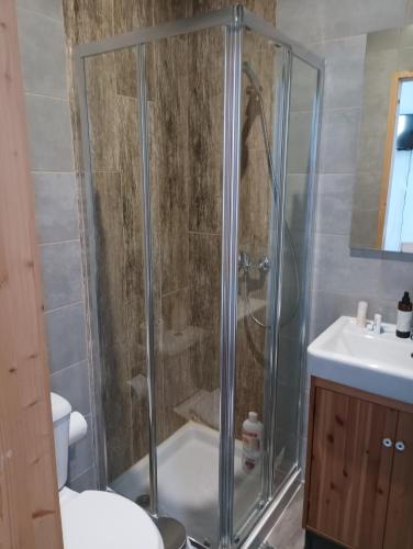 a bathroom with a shower with a toilet and a sink at Al-Xelb guesthouse in Silves