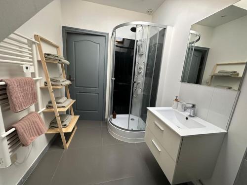 une salle de bain avec une douche, un lavabo et un miroir dans l'établissement Charmant appartement troyen, à Troyes