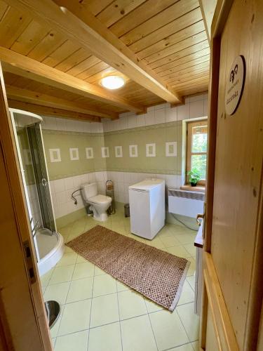 a bathroom with a toilet and a sink at Baranówka in Kamesznica