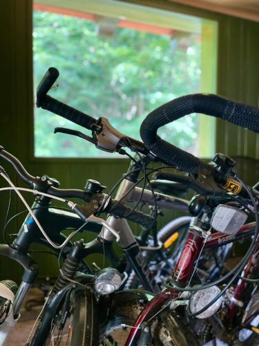 a group of bikes parked next to each other at Baranówka in Kamesznica