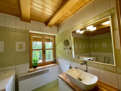 a bathroom with a sink and a mirror at Baranówka in Kamesznica