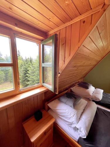 a small room with a bed and two windows at Baranówka in Kamesznica