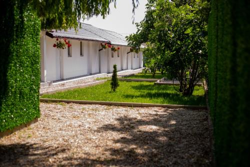 Κήπος έξω από το Mafmaf Tiny Houses