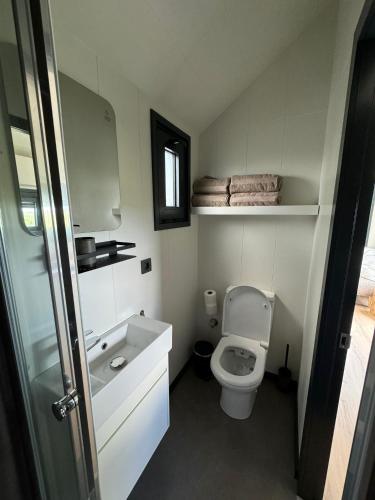a small bathroom with a toilet and a sink at TinyHouse Ochtendgloren in Haastrecht