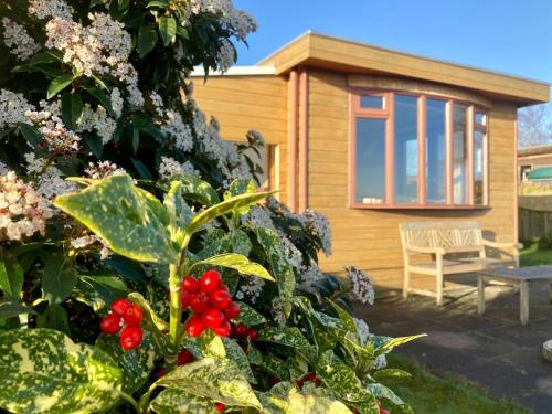 Zahrada ubytování Haus Sonnenschein mit Blick auf das Lauwersmeer