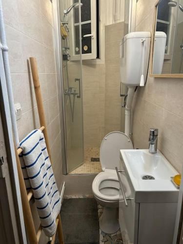 une salle de bain avec une douche, des toilettes et un lavabo dans l'établissement Confort & calme, appartement hypercentre Paris, à Paris