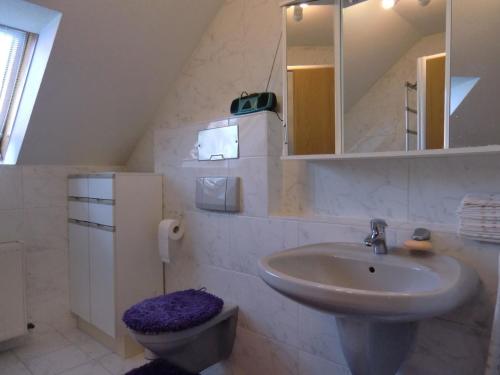 Ένα μπάνιο στο Gesamte Wohnung in Hochstadt