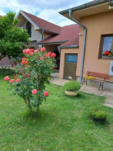 Zahrada ubytování Villa Nena