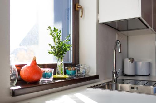 A kitchen or kitchenette at Apartment Primulka