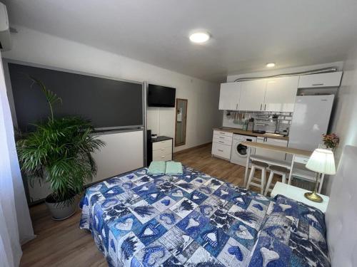 Roger Apartamentos