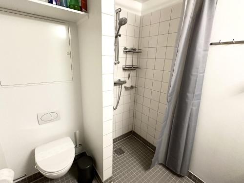 a bathroom with a toilet and a shower at Spaniensgade 15A 1tv in Copenhagen