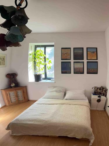 a bedroom with a large bed and a window at Wellness Rental Vienna in Vienna