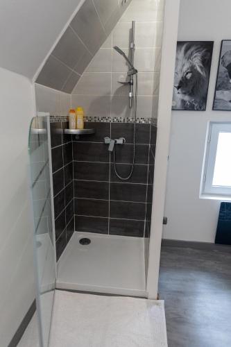 a shower with a glass door in a bathroom at Paradis des bulles in Châteaudun