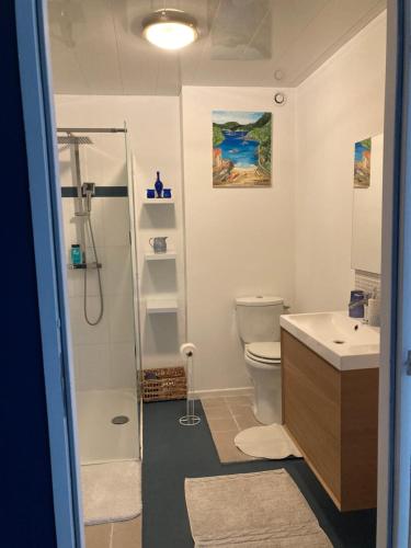 a bathroom with a shower and a toilet and a sink at La Villa Celine in Saint-Laurent-de-la-Cabrerisse