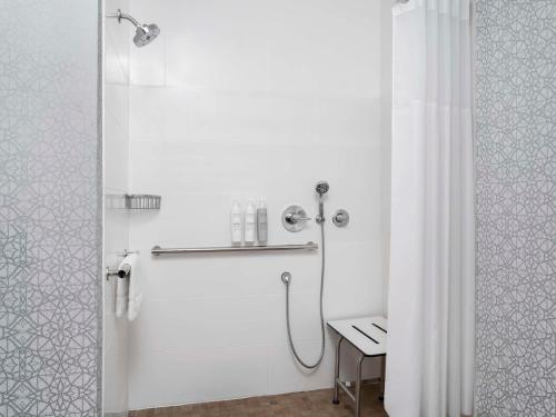 a bathroom with a shower with a shower curtain at Hampton Inn Ottawa - Starved Rock Area in Ottawa