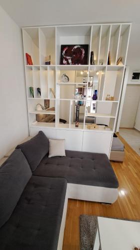 a living room with a couch and shelves at Maya 's home - Vracar in Vračar (historical)