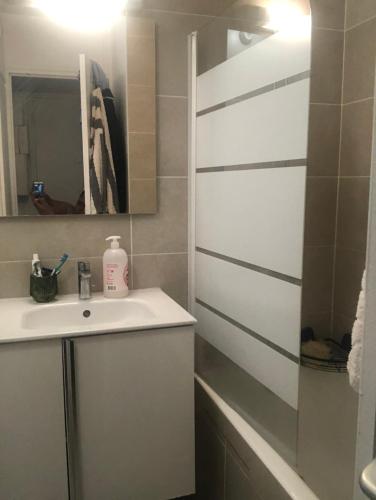 une salle de bain avec un lavabo et un miroir dans l'établissement Studio confortable près de Paris, à Antony