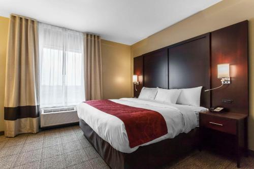 a hotel room with a large bed and a window at Comfort Suites-Youngstown North in Youngstown