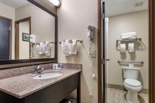 a bathroom with a sink and a toilet and a mirror at Comfort Inn Asheville East-Blue Ridge Pkwy Access in Asheville
