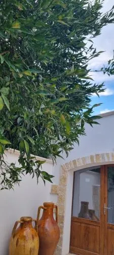 Villa Guajira photo 36