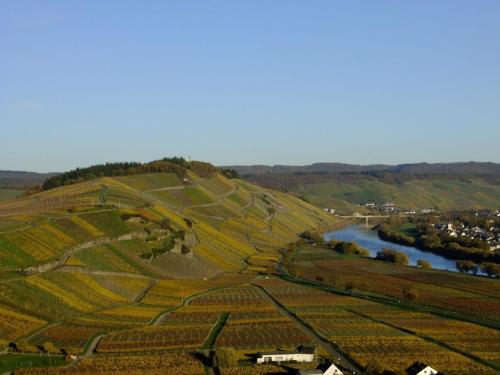 an aerial view of a hill with a river at Ferienwohnung Alexandra in Wintrich in Wintrich
