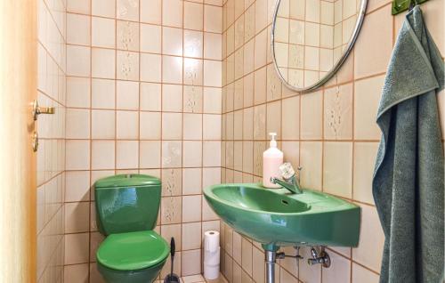 a bathroom with a green sink and a toilet at Awesome Home In Holstebro With Kitchen in Holstebro