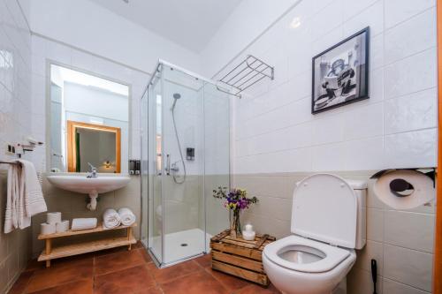 une salle de bains avec toilettes et lavabo dans l'établissement Hotel Rural Estación de la Dehesa, à Almazán